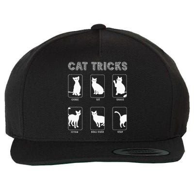 Cat Tricks Funny Kitten Kitty Pet Owner Gift Wool Snapback Cap