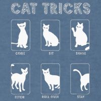 Cat Tricks Funny Kitten Kitty Pet Owner Gift Garment-Dyed Sweatshirt
