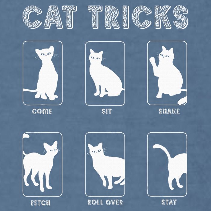 Cat Tricks Funny Kitten Kitty Pet Owner Gift Garment-Dyed Sweatshirt
