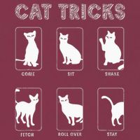 Cat Tricks Funny Kitten Kitty Pet Owner Gift 16oz Travel Tumbler