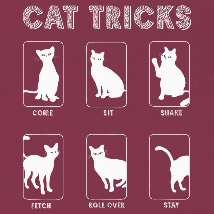 Cat Tricks Funny Kitten Kitty Pet Owner Gift 16oz Travel Tumbler