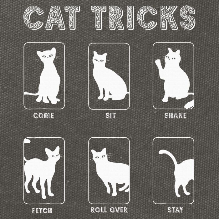Cat Tricks Funny Kitten Kitty Pet Owner Gift Cotton Canvas Backpack