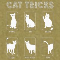 Cat Tricks Funny Kitten Kitty Pet Owner Gift Garment-Dyed Women's Muscle Tee