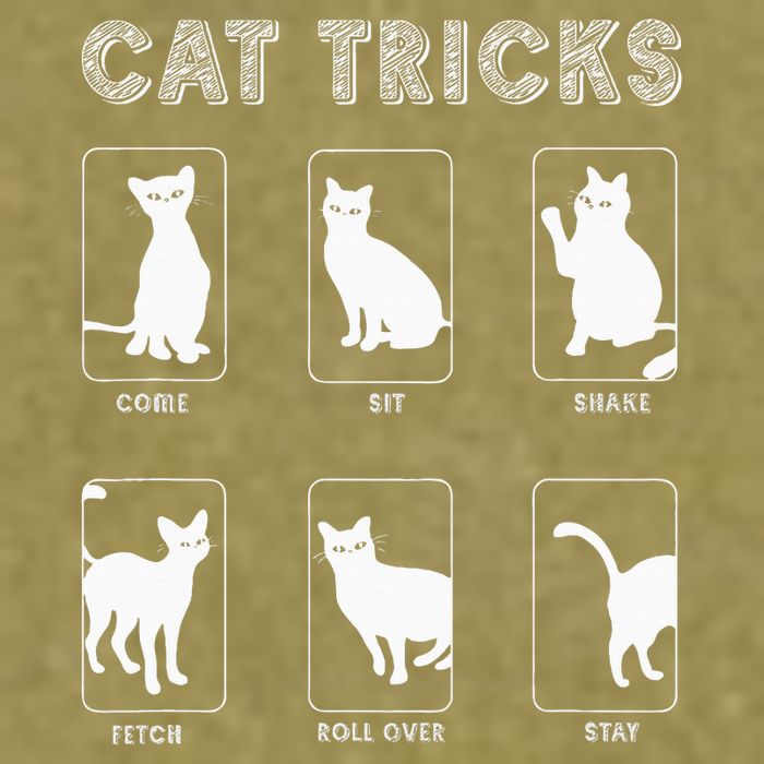 Cat Tricks Funny Kitten Kitty Pet Owner Gift Garment-Dyed Women's Muscle Tee