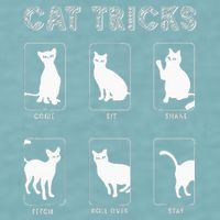 Cat Tricks Funny Kitten Kitty Pet Owner Gift Sueded Cloud Jersey T-Shirt