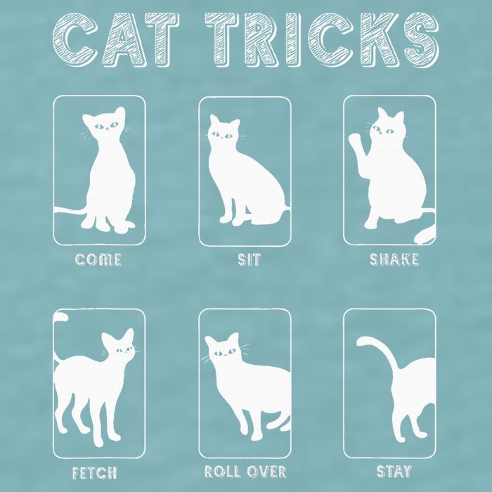Cat Tricks Funny Kitten Kitty Pet Owner Gift Sueded Cloud Jersey T-Shirt