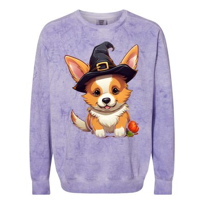 Cute Thanksgiving Fall Witches Hat Pilgrim Halloween Corgi Gift Colorblast Crewneck Sweatshirt