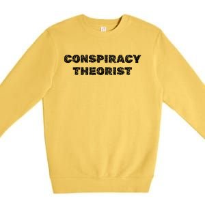 Conspiracy Theorist Funny Government Gift Premium Crewneck Sweatshirt