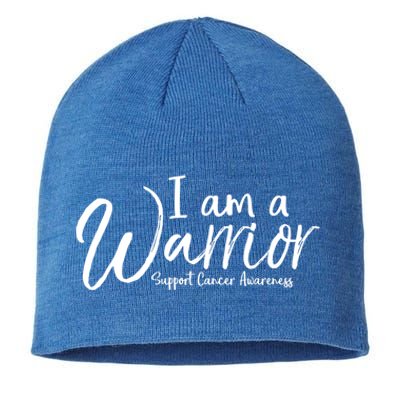 Cancer Treatt Gift For Cancer Patients I Am A Warrior Cool Gift Sustainable Beanie