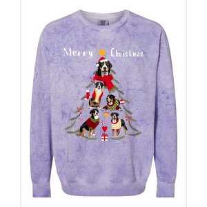 Christmas Tree Greater Swiss Mountain Dog Lover Xmas Gift Colorblast Crewneck Sweatshirt