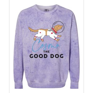 Cosmo The Good Dog Rocket Lylla Floor & Teefs Space Dog Colorblast Crewneck Sweatshirt