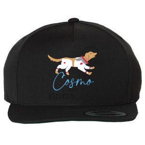 Cosmo The Good Dog Rocket Lylla Floor & Teefs Space Dog Wool Snapback Cap