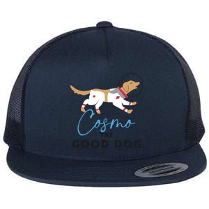 Cosmo The Good Dog Rocket Lylla Floor & Teefs Space Dog Flat Bill Trucker Hat