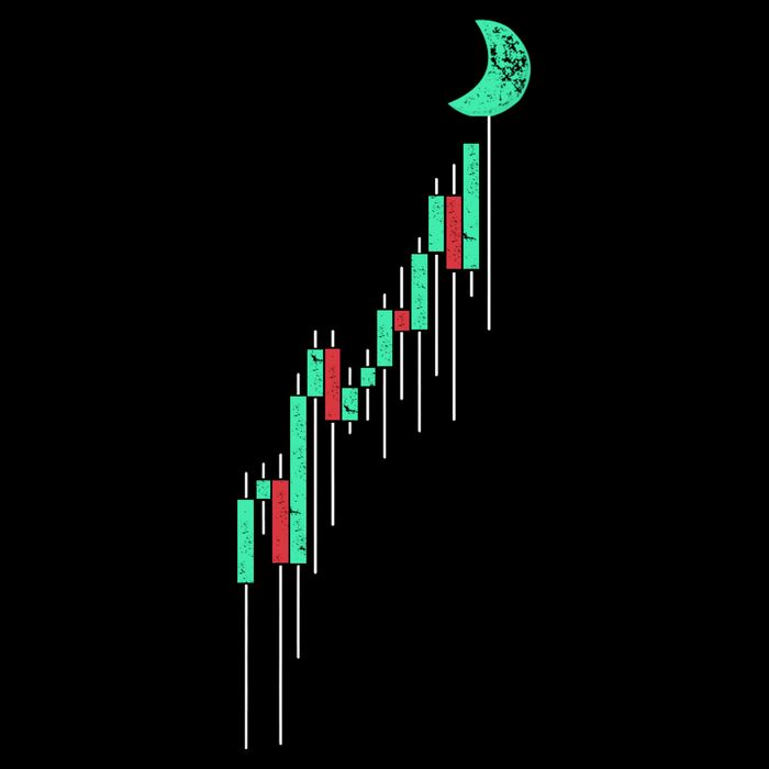 Crypto Trading Hodl Vintage Stock Doggie Tank