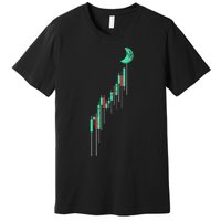 Crypto Trading Hodl Vintage Stock Chart To The Moon Premium T-Shirt