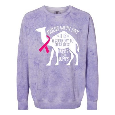 Check Those Humps Lumps Breast Cancer Awareness Warrior Colorblast Crewneck Sweatshirt