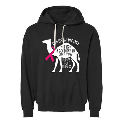 Check Those Humps Lumps Breast Cancer Awareness Warrior Garment-Dyed Fleece Hoodie