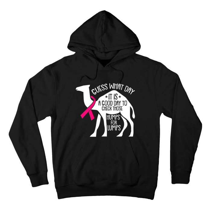 Check Those Humps Lumps Breast Cancer Awareness Warrior Hoodie