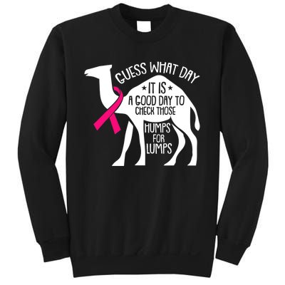 Check Those Humps Lumps Breast Cancer Awareness Warrior Sweatshirt