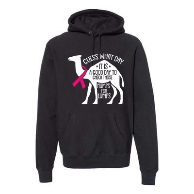 Check Those Humps Lumps Breast Cancer Awareness Warrior Premium Hoodie