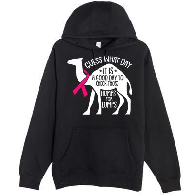 Check Those Humps Lumps Breast Cancer Awareness Warrior Premium Pullover Hoodie