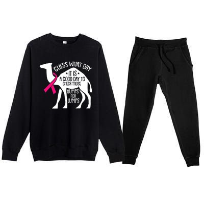 Check Those Humps Lumps Breast Cancer Awareness Warrior Premium Crewneck Sweatsuit Set