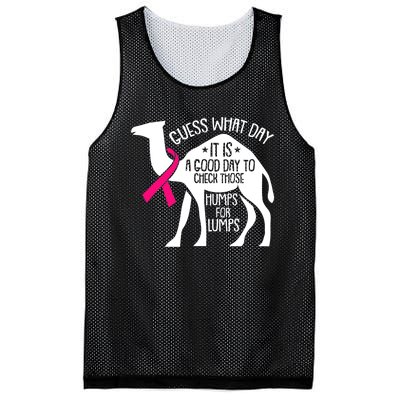 Check Those Humps Lumps Breast Cancer Awareness Warrior Mesh Reversible Basketball Jersey Tank