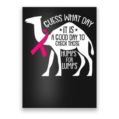 Check Those Humps Lumps Breast Cancer Awareness Warrior Poster