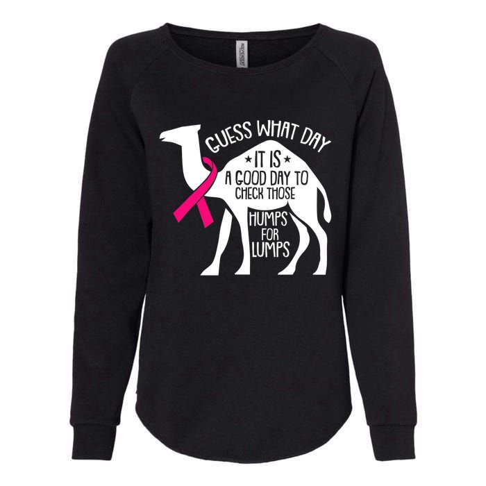 Check Those Humps Lumps Breast Cancer Awareness Warrior Womens California Wash Sweatshirt