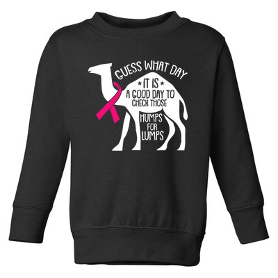 Check Those Humps Lumps Breast Cancer Awareness Warrior Toddler Sweatshirt