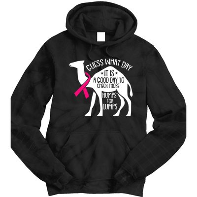 Check Those Humps Lumps Breast Cancer Awareness Warrior Tie Dye Hoodie