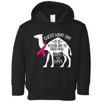 Check Those Humps Lumps Breast Cancer Awareness Warrior Toddler Hoodie