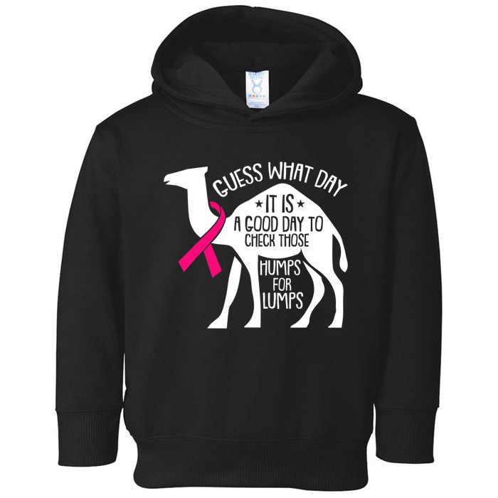 Check Those Humps Lumps Breast Cancer Awareness Warrior Toddler Hoodie