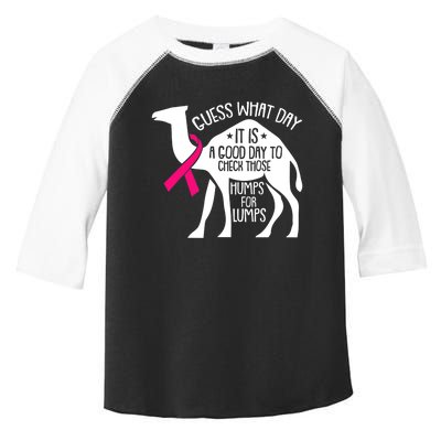 Check Those Humps Lumps Breast Cancer Awareness Warrior Toddler Fine Jersey T-Shirt