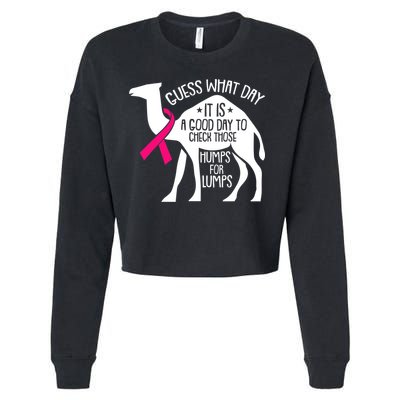 Check Those Humps Lumps Breast Cancer Awareness Warrior Cropped Pullover Crew
