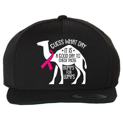 Check Those Humps Lumps Breast Cancer Awareness Warrior Wool Snapback Cap