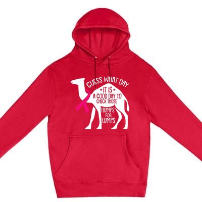 Check Those Humps Lumps Breast Cancer Awareness Warrior Premium Pullover Hoodie