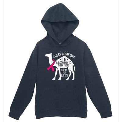 Check Those Humps Lumps Breast Cancer Awareness Warrior Urban Pullover Hoodie