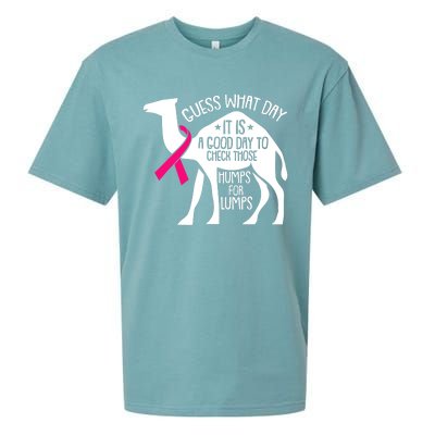 Check Those Humps Lumps Breast Cancer Awareness Warrior Sueded Cloud Jersey T-Shirt