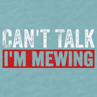 Can't Talk I'm Mewing Funny Quote Sueded Cloud Jersey T-Shirt