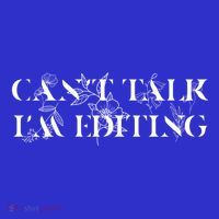 Can't Talk I'm Editing Photographer And Videographer Gift Sustainable Beanie