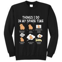 Capybara Things I Do In My Spare Time Funny Capybara Sweatshirt