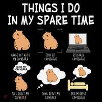Capybara Things I Do In My Spare Time Funny Capybara Sweatshirt