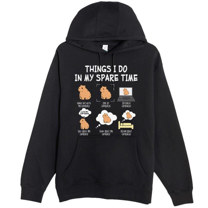 Capybara Things I Do In My Spare Time Funny Capybara Premium Pullover Hoodie