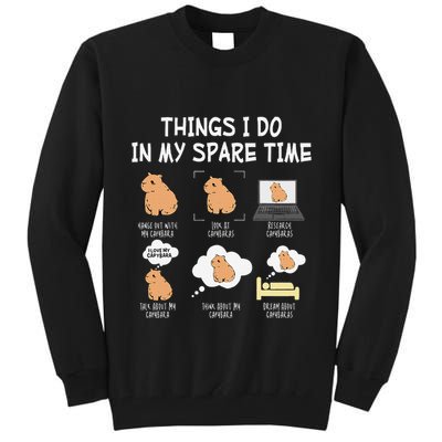 Capybara Things I Do In My Spare Time Funny Capybara Tall Sweatshirt