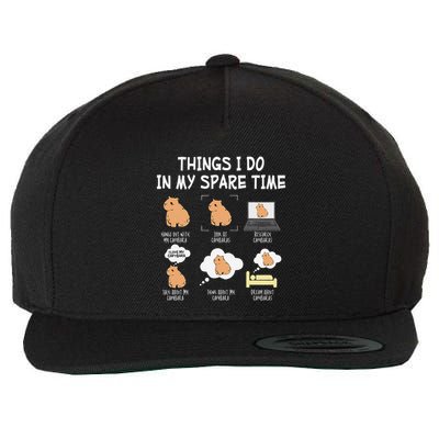 Capybara Things I Do In My Spare Time Funny Capybara Wool Snapback Cap