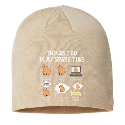 Capybara Things I Do In My Spare Time Funny Capybara Sustainable Beanie