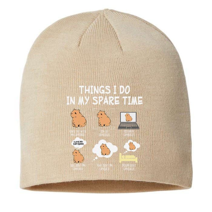 Capybara Things I Do In My Spare Time Funny Capybara Sustainable Beanie