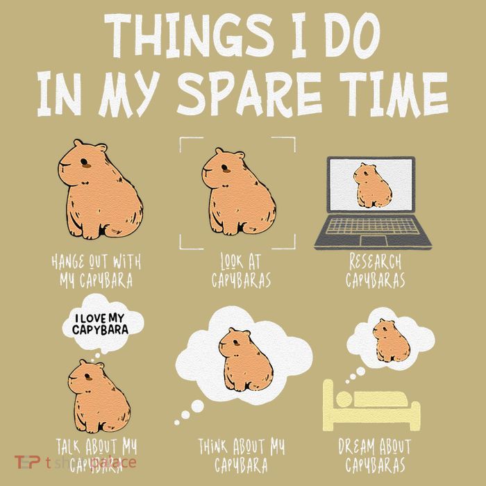 Capybara Things I Do In My Spare Time Funny Capybara Sustainable Beanie