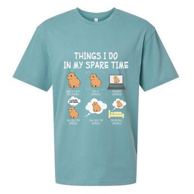 Capybara Things I Do In My Spare Time Funny Capybara Sueded Cloud Jersey T-Shirt